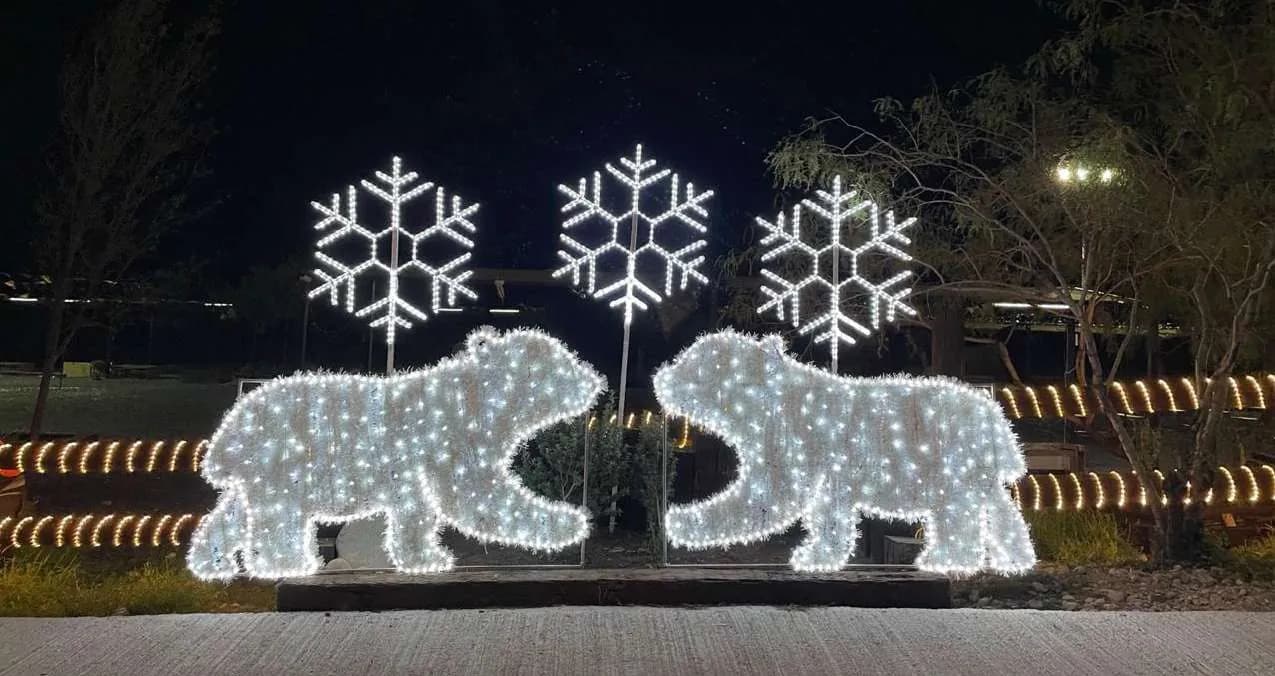 Instalación de iluminación de INTERDEKOR