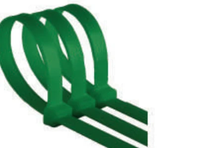 Cincho de color verde