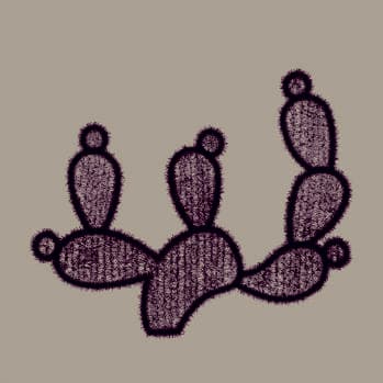 Nopal