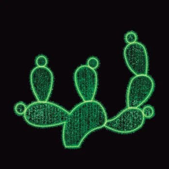 Nopal