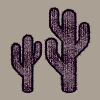 Cactus (saguaro)