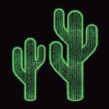 Cactus (saguaro)