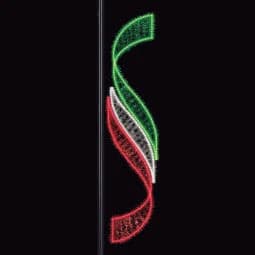 Voluta S tricolor