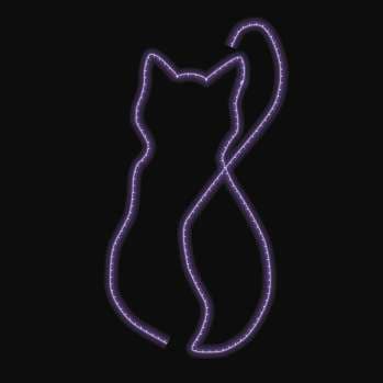 Gato