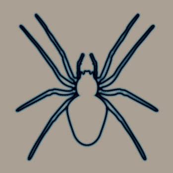 Araña roja