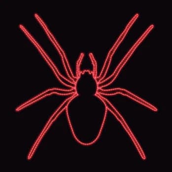 Araña roja