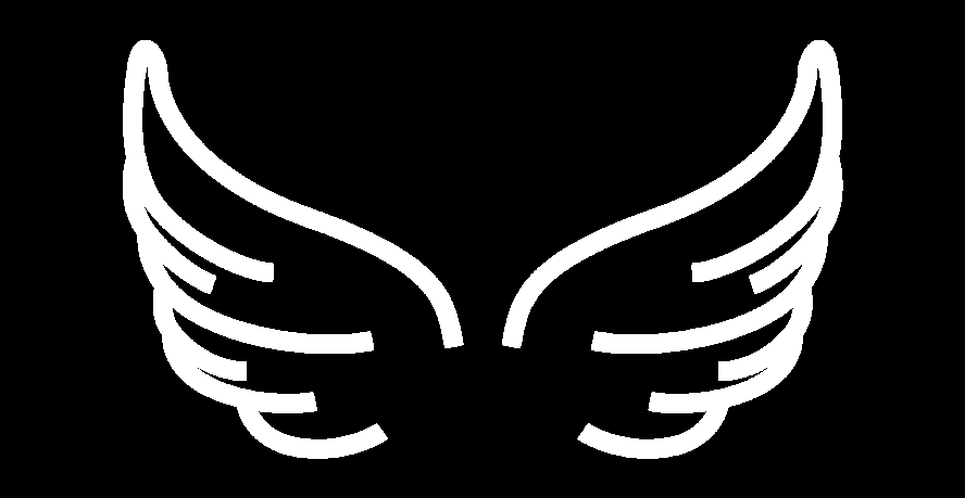 Alas de ángel
