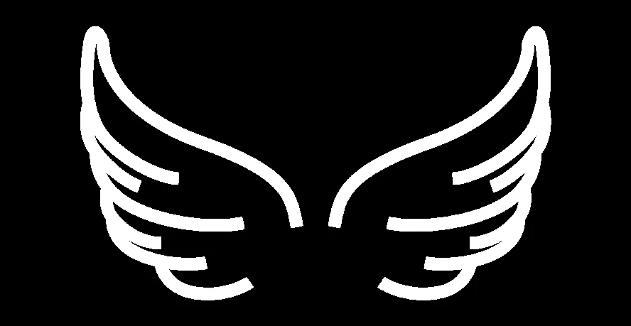 Alas de ángel