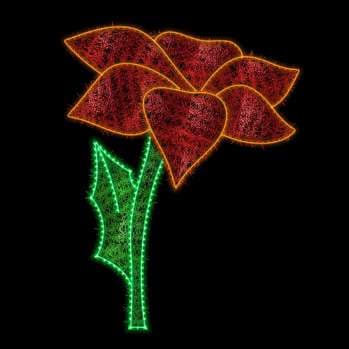 Flor de nochebuena