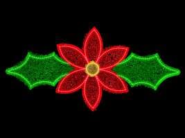 Flor de nochebuena