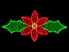 Flor de nochebuena