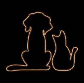 Perro y gato