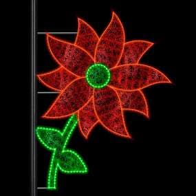 Flor de nochebuena